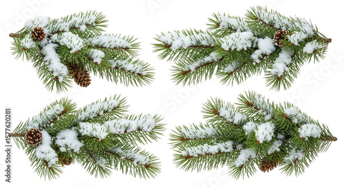 christmas tree branches