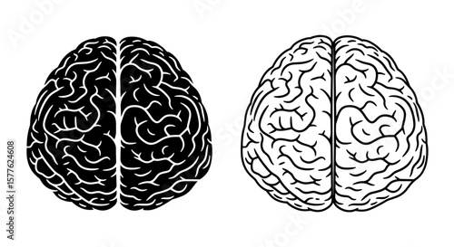 Two stylized brains one in solid black and the other in outline viewed from above.