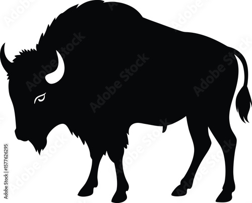 Buffalo vector silhouette illustration