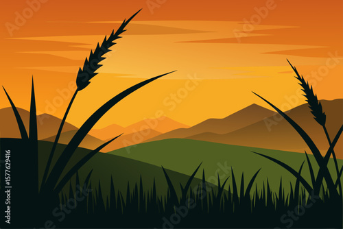 wheat field at sunset