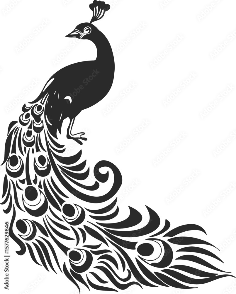 Fototapeta premium vector illustration of a peacock