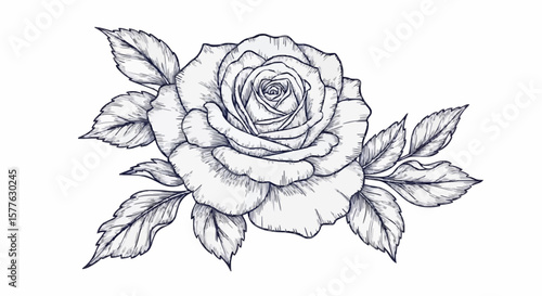 Rose porcelain decoration design (dark grey)