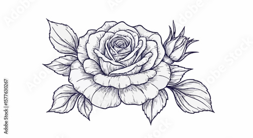 Rose porcelain decoration design (dark grey)