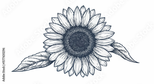 Sunflower porcelain decoration design (dark grey)