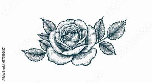 Rose porcelain decoration design (dark green)