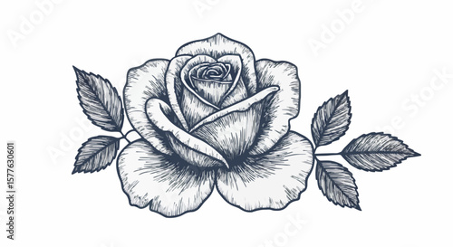 Rose porcelain decoration design (dark grey)