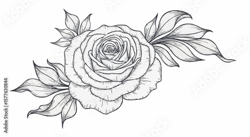 Rose porcelain decoration design (dark blue)