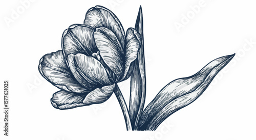 Tulip flower porcelain decoration design (dark blue)