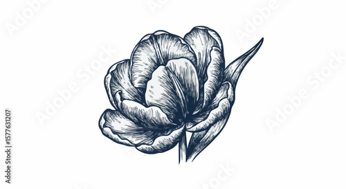 Tulip flower porcelain decoration design (dark blue)