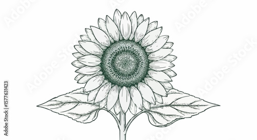 Sunflower porcelain decoration design (dark green)