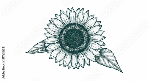 Sunflower porcelain decoration design (dark green)
