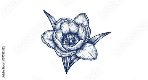 Tulip flower porcelain decoration design (dark blue)