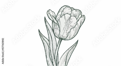 Tulip flower porcelain decoration design (dark green)