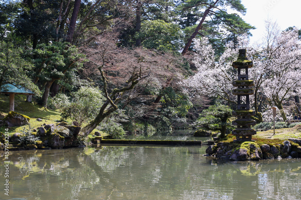 Naklejka premium Japanese garden pond at beginning of spring season