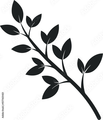 branch of a tree
