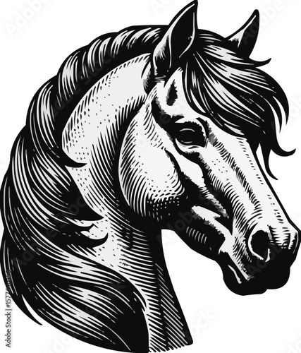 Vector art of a detailed black and white engraving illustration of a horses head with a flowing mane