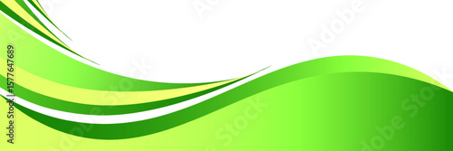 Abstract green curve background. Can be used covers, banners, wallpapers, flyers, brochures, books, print media, cards, web backgrounds. vector