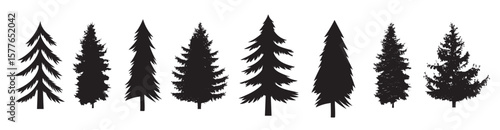 set silhouettes pine tree isolated white background design element poster banner card emblem vector