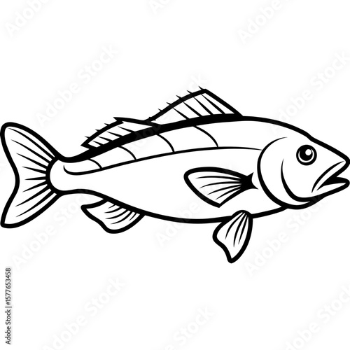 Cod line art vector
