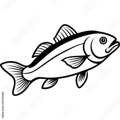Cod line art vector