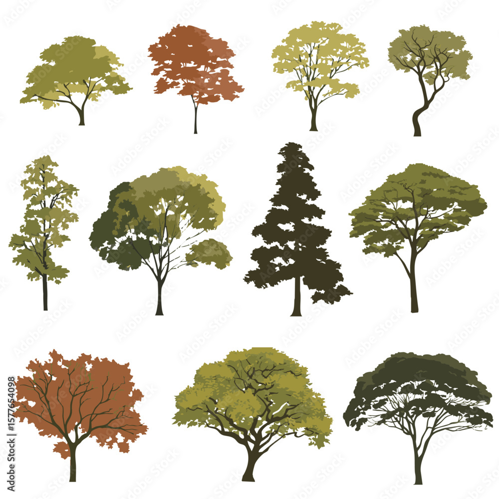 Fototapeta premium trees, tree elevation, set of trees, vector tree, cad