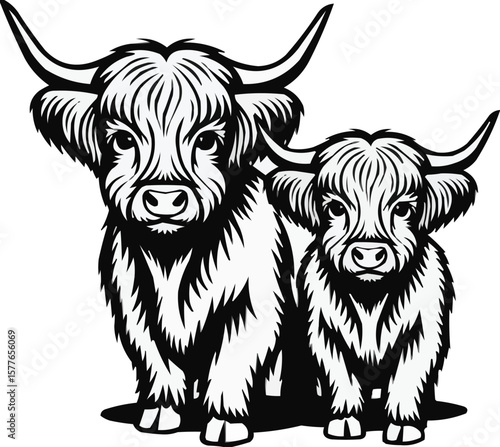 Vector art of a mother highland cow and her calf stand together in a stylized drawing