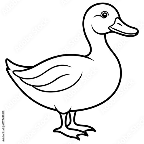 Duck line art vector