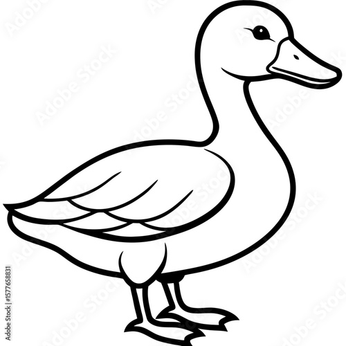 Duck line art vector