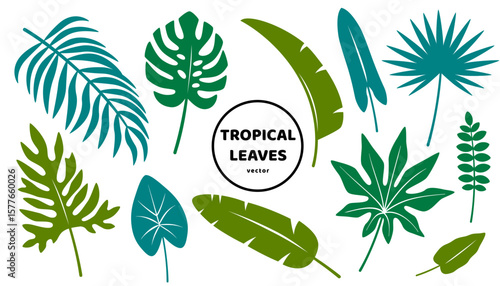 Tropical green leaves flat icons set isolated on white background. Vector illustration. Tropic floral poster banner. Summer Hawaiian vacation design elements. Rainforest garden, palm banana plant