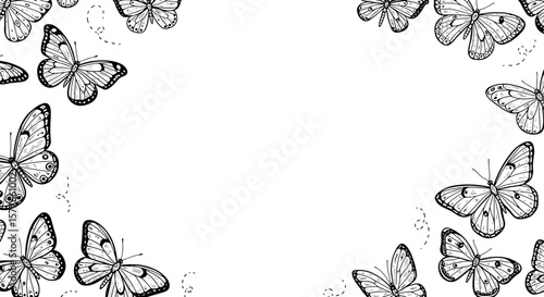Butterfly Border Frame with Free Space in the Center