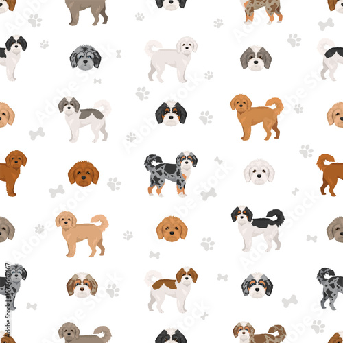 Cavapoo, Cavoodle clipart. Cavalier King Charles Spaniel Poodle mix. Different coat colors set.  Vector illustration