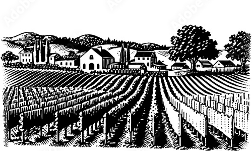 Idyllic vineyard village in linocut style illustration in black and white representing pastoral community