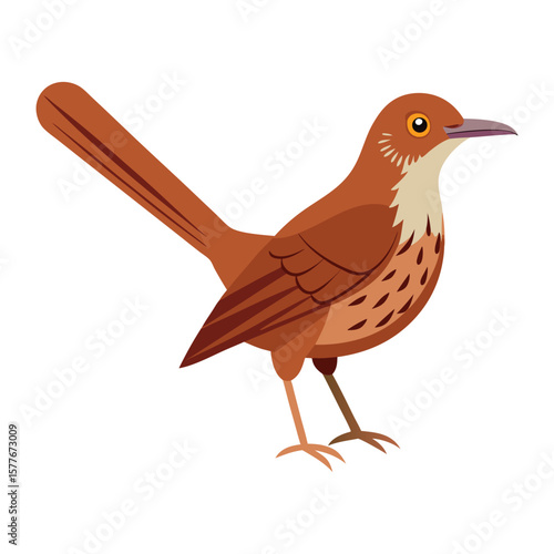 a brown bird with long tail standing on one leg