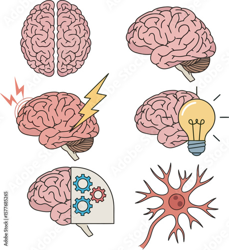 Illustrations depicting various aspects of the human brain, including thought and function.