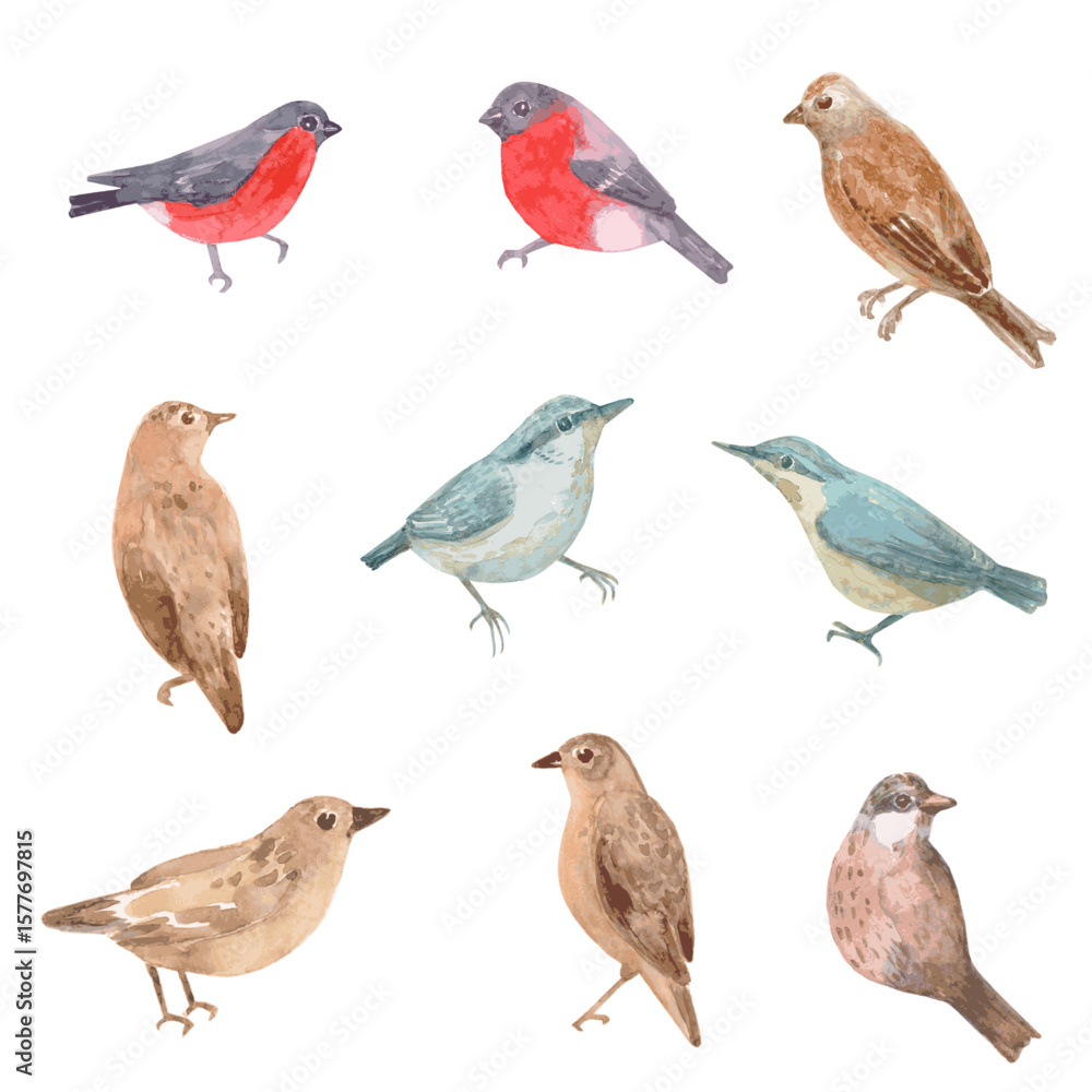 Fototapeta premium watercolor vector collection of cute little birds. avian set