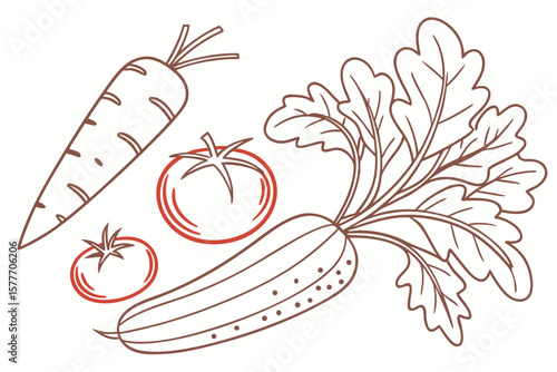 Illustration of fresh garden vegetables including carrots, tomatoes, and cucumbers