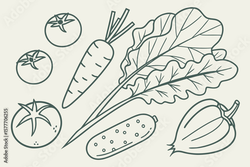 A simple line drawing of fresh vegetables including tomatoes and carrots