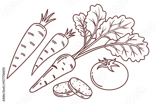 A simple line drawing of fresh carrots and tomatoes on white
