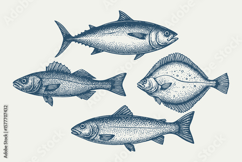 Sea fish engraving set, vintage seafood style, vector illustration
