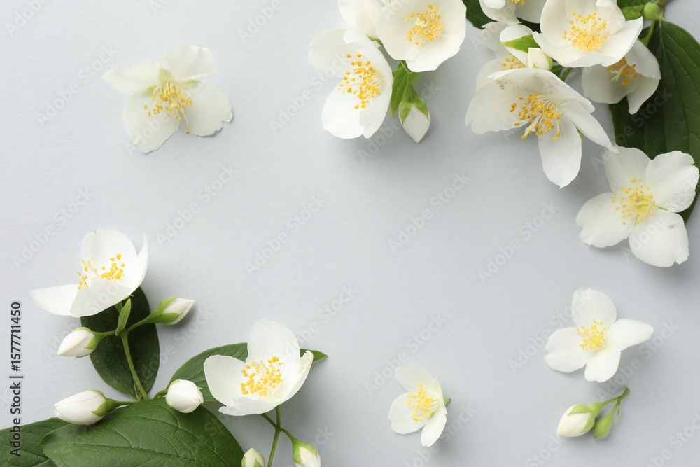Obraz premium Beautiful jasmine flowers with leaves on light background, flat lay. Space for text