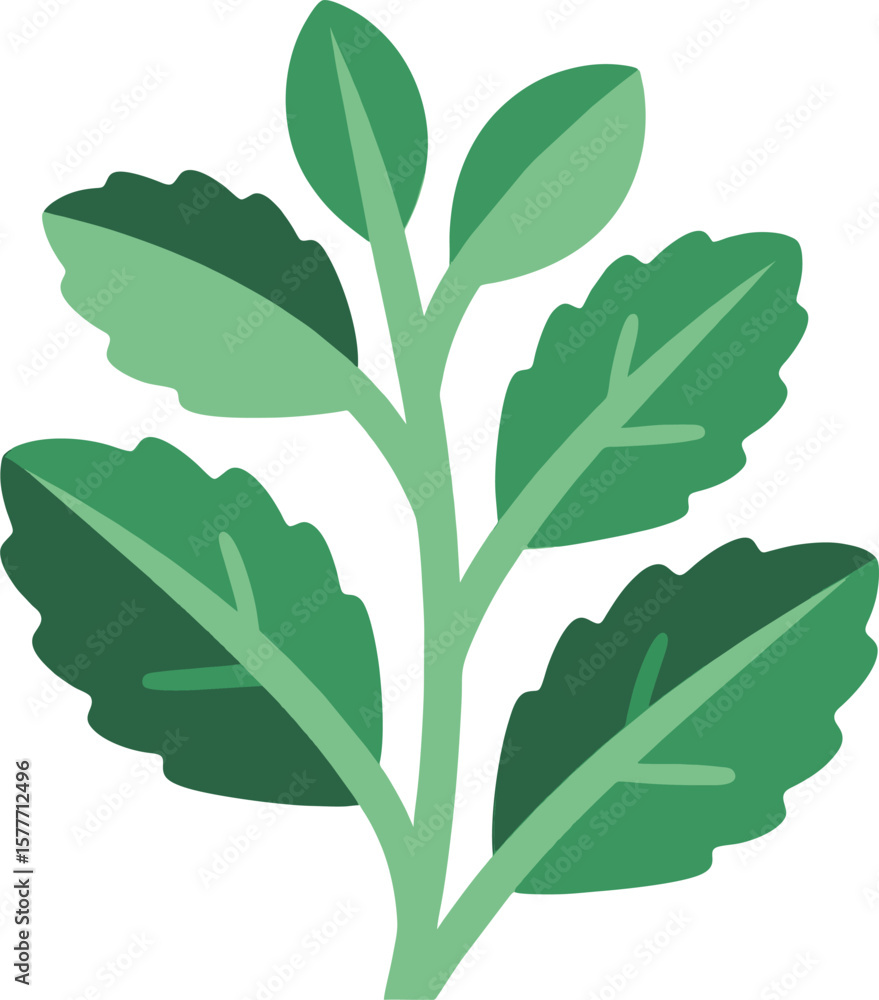 Obraz premium Flat Style Peppermint Leaf Vector – Simple Herbal Plant Illustration for Food and Nature Design