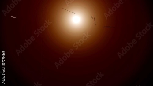 flash light lens flare on film burn transition on grunge effect