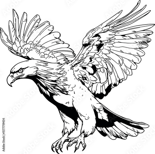 Drawing of an Ideal Golden Eagle for coloring