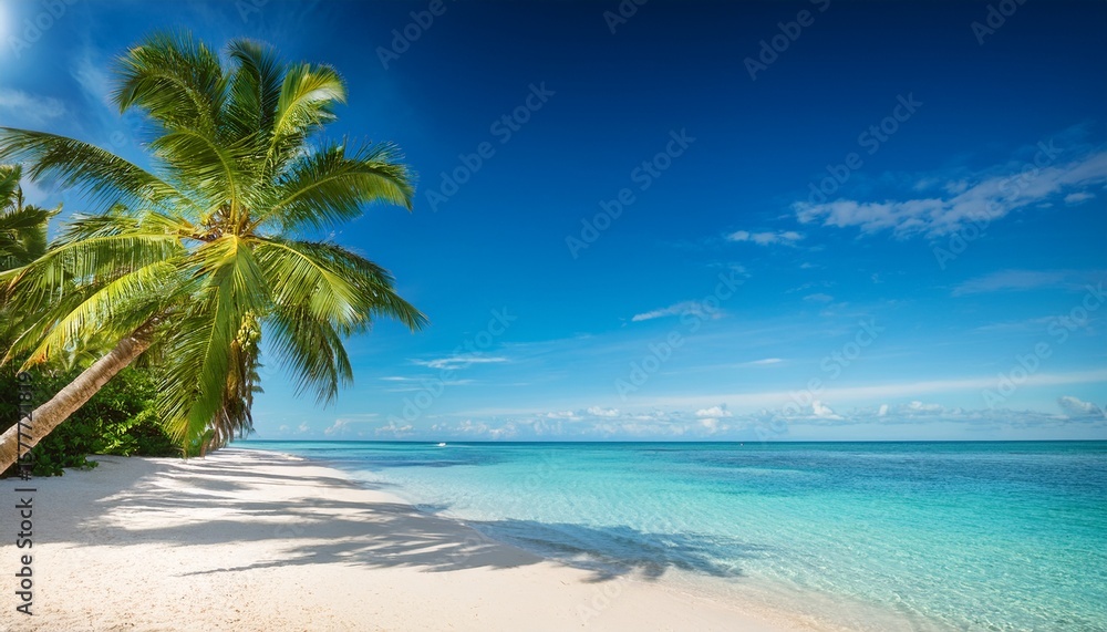 Fototapeta premium palm beach in tropical idyllic paradise island with palm tree on ocean