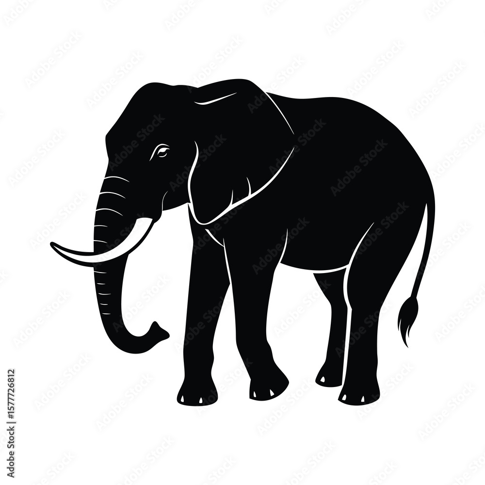 Fototapeta premium elephant vector illustration