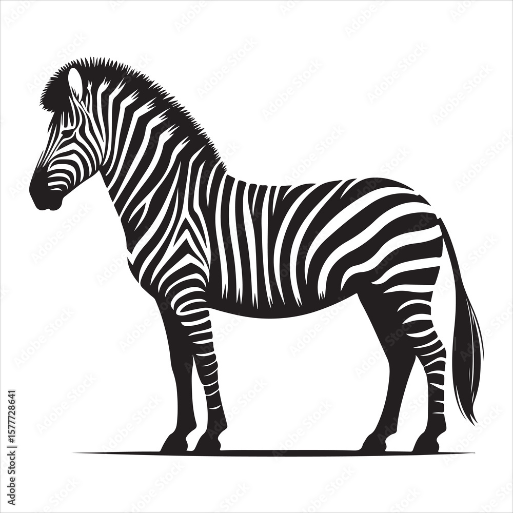 Fototapeta premium Silhouette vector of a zebra standing on a white background