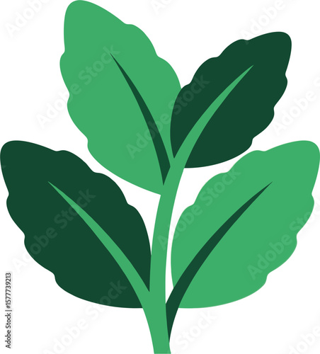 Flat Vector Illustration of Peppermint Leaves – Minimalist Herbal Plant Icon