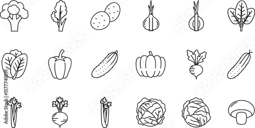 Vegetables line icon set. Vector pictograms of broccoli, potato, onion, garlic, lettuce, spinach, pepper, cucumber, pumpkin, turnip, celery, cabbage,