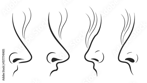 Four Line Art Nose Outlines with Hair on Transparent Background