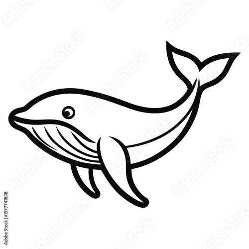 A whale is a large marine mammal known for its impressive size, intelligence, and ability to communicate through sounds.